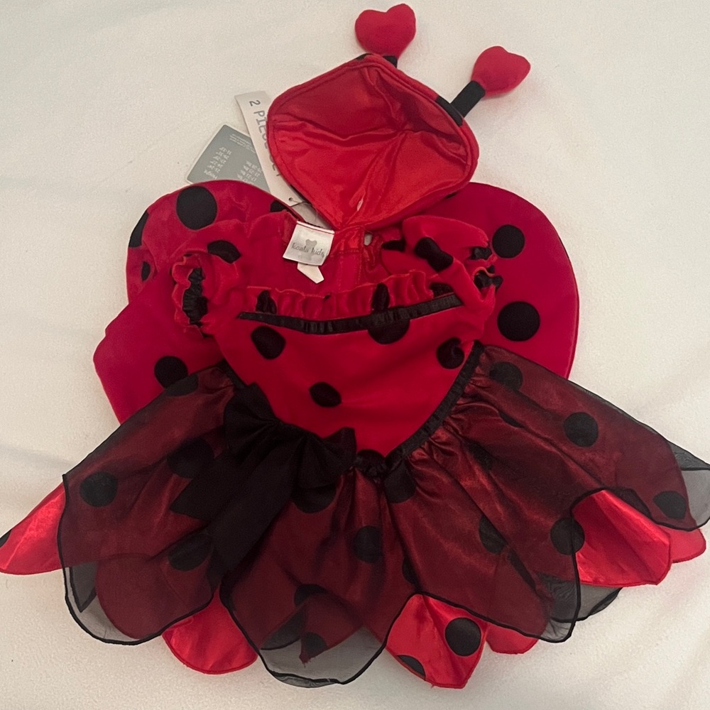 Koala Kids Red and Black Ladybug Costume